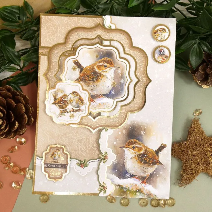 Hunkydory Winter Birds Luxury Topper Set*