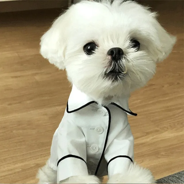 Luxury Clothes for Dog Fashion