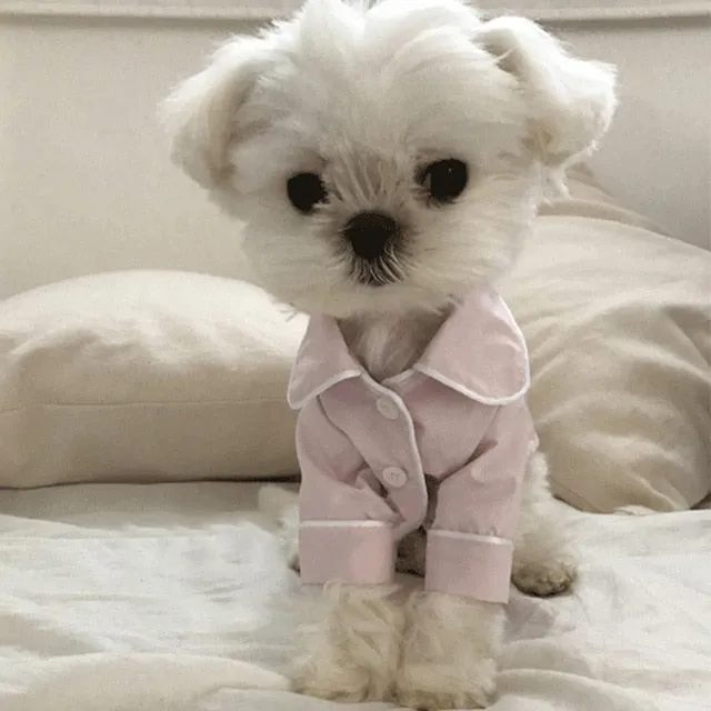 Luxury Clothes for Dog Fashion