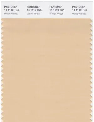 Pantone Smart 14-1119 TCX Color Swatch Card | Winter Wheat
