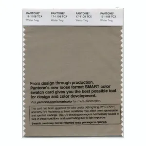 Pantone Smart 17-1108 TCX Color Swatch Card | Winter Twig