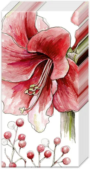 Winter Amaryllis Tissues